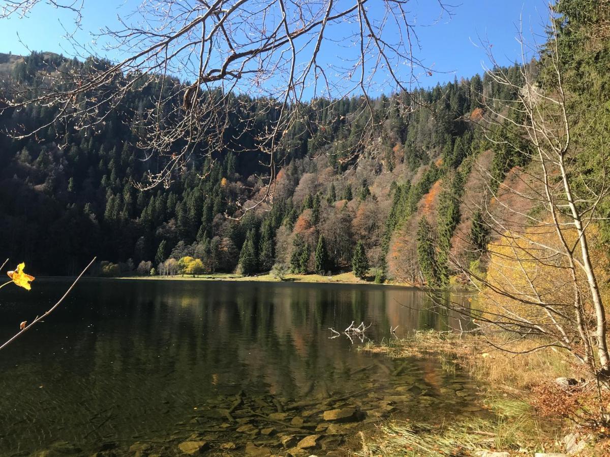 Feldberg Lounge - Residenz Grafenmatt Διαμέρισμα Εξωτερικό φωτογραφία