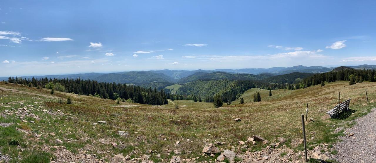Feldberg Lounge - Residenz Grafenmatt Διαμέρισμα Εξωτερικό φωτογραφία